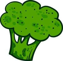 groen broccoli, illustratie, vector Aan wit achtergrond