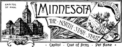 de staat banier van Minnesota de noorden ster staat wijnoogst illustratie vector