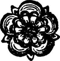 de roos zijn heraldisch in rekening brengen gedragen door de zevende oudste zoon wijnoogst gravure. vector
