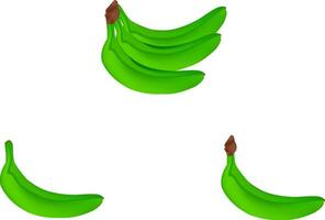 groen banaan vector ontwerp Aan een wit achtergrond