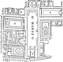 forum van pompei, opdrachtgever Ingang, wijnoogst gravure. vector