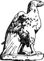 Romeins adelaar is gevonden Bij de Vaticaan in Rome, wijnoogst gravure. vector