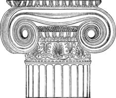 ionisch hoek kolom, tempel van Minerva polias Bij Athene, wijnoogst gravure. vector