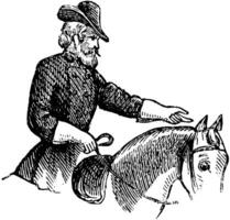 soldaat Aan paard wijnoogst illustratie. vector