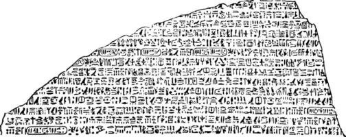 deel van Rosetta steen of granodioriet stèle, wijnoogst gravure. vector