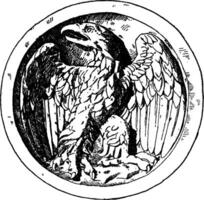 jong adelaar is getoond Aan een scutella of schotel gedurende de Romeins keer, wijnoogst gravure. vector