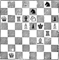 een schaak strategie wijnoogst illustratie. vector