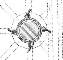 camera, wijnoogst gravure. vector