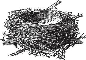 nest van de zwartkop of sylvia atricapilla, wijnoogst gravure vector