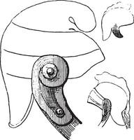 bof of epidemie parotitis, wijnoogst gravure. vector