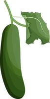 groen komkommer met groen blad vector illustratie van groenten Aan wit achtergrond.