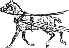 paard, wijnoogst illustratie. vector