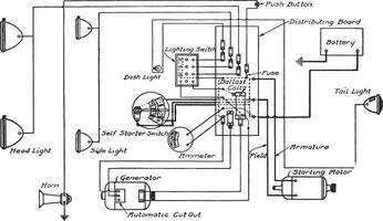 bosch haastmeer, wijnoogst illustratie. vector