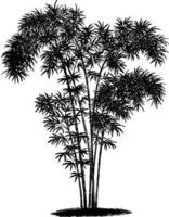 bamboe nana wijnoogst illustratie. vector