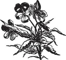 bloemen wijnoogst illustratie. vector