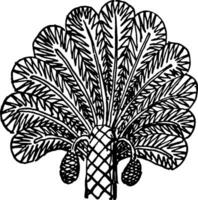 Assyrisch ornament is een palm boom van een Verlichting wijnoogst gravure. vector