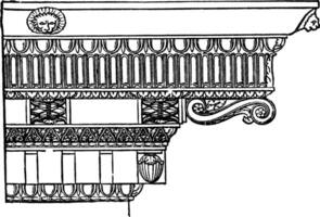 Corinthian kroonlijst, onderscheiden van de ionisch, wijnoogst gravure. vector