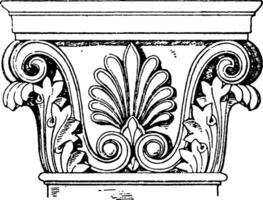 Grieks-Corinthisch pilaster hoofdstad, ondersteunt, wijnoogst gravure. vector