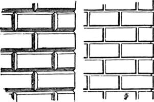 rustiek werk afbeeldingen, cursussen, wijnoogst gravure. vector