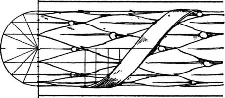 antiek verrijking torus vormen, venster bogen, wijnoogst gravure. vector