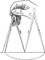 in tweeën delen lijn gebruik makend van verdeler, aantal van secties, wijnoogst gravure. vector