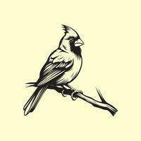 vogel vector afbeeldingen, illustratie van een vogel