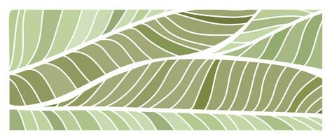 abstract botanisch kunst achtergrond vector. natuurlijk hand- getrokken patroon ontwerp met bladeren Afdeling. gemakkelijk hedendaags stijl geïllustreerd ontwerp voor kleding stof, afdrukken, omslag, banier, behang. vector