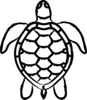 schildpad hand- getrokken vector illustratie