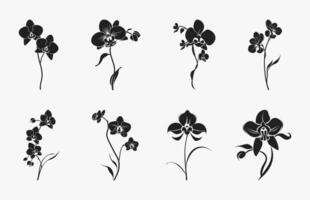 orchidee bloem silhouet vector set, orchidee bloemen clip art bundel