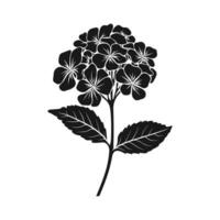 een hortensia bloem vector silhouet geïsoleerd Aan een wit achtergrond