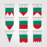 bulgarije vlag in verschillende vormen, vlag van bulgarije in verschillende vormen vector