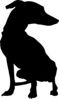 hond silhouet vector Aan wit achtergrond