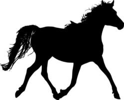 paard silhouet vector Aan wit achtergrond