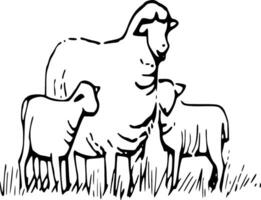 schapen silhouet vector Aan wit achtergrond