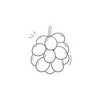hand- getrokken illustratie van druiven icoon. tekening vector schetsen illustratie