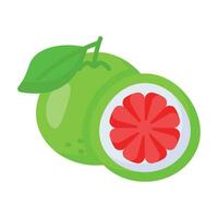 goed ontworpen icoon van grapefruit in modern stijl, gezondste citrus fruit vector