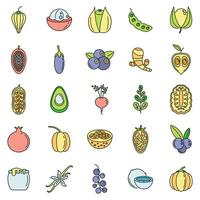 modern superfood pictogrammen reeks vector kleur