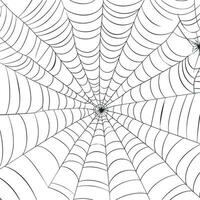 vector schets illustratie van een gemakkelijk luxe halloween spin web, geïsoleerd voorwerp Aan de wit achtergrond, clip art nuttig voor halloween partij decoratie, hand- getrokken afbeelding. ai gegenereerd illustratie.