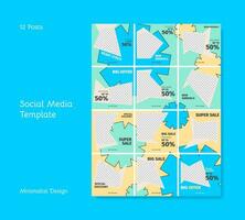 sociaal media feeds sjabloon met minimalistische ontwerp vector