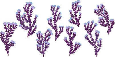 lavendel bloemen reeks van vector illustratie