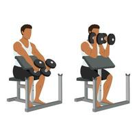 Mens aan het doen gezeten halter prediker biceps hamer krullen oefening. vector