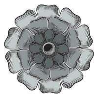 decoratief mandala sier- ronde patroon geïsoleerd Aan wit achtergrond vector