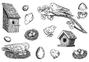 voorjaar tijd schets verzameling. schetsen reeks van vogels, nest, kuikens, vogel huizen, eieren. vector illustratie in gravure stijl geïsoleerd Aan wit.