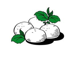 Mozzarella kaas ballen voor restaurant menu's verpakking vector illustratie hand- getrokken