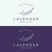 bloeiend lavendel biologisch bloem logo sjabloon ontwerp. logo voor cosmetica, schoonheid, plantkunde, parfum en decoratie. vector