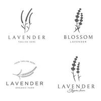 bloeiend lavendel biologisch bloem logo sjabloon ontwerp. logo voor cosmetica, schoonheid, plantkunde, parfum en decoratie. vector