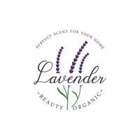 bloeiend lavendel biologisch bloem logo sjabloon ontwerp. logo voor cosmetica, schoonheid, plantkunde, parfum en decoratie. vector