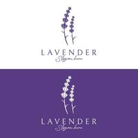 bloeiend lavendel biologisch bloem logo sjabloon ontwerp. logo voor cosmetica, schoonheid, plantkunde, parfum en decoratie. vector