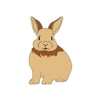 silhouetten van konijn, vector illustratie.3d konijn konijn oren illustratie met blauw en roze binnenkant en gevouwen oor, geven stijl reeks