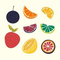 fruit reeks - citrus fruit en bessen vector